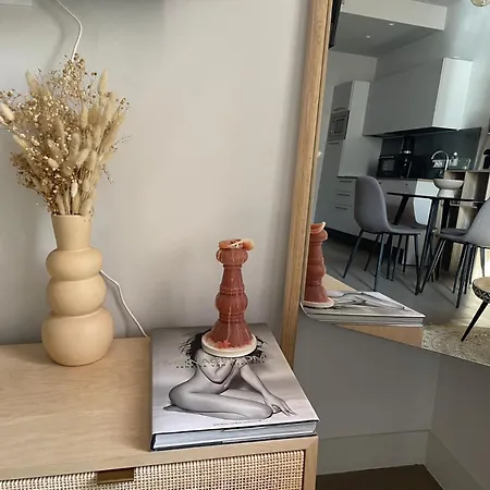 公寓 Cozy Au Coeur De 尼斯