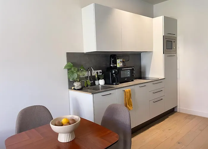 Apartament Cozy Au Coeur De
